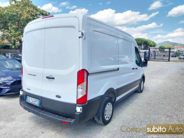 FORD Transit usata, con Fendinebbia