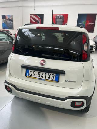 FIAT Panda Cross usata, con Fendinebbia