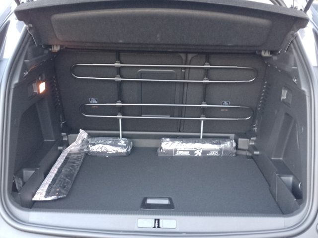 PEUGEOT 3008 usata, con Climatizzatore