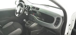 FIAT Panda usata 22