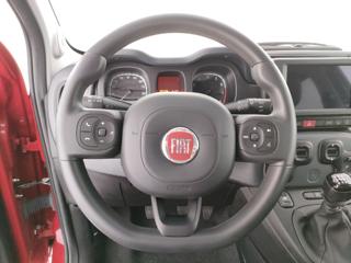 FIAT Panda Cross usata, con ESP