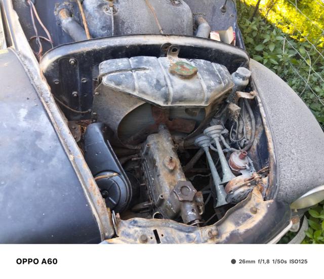FIAT 500 usata 12