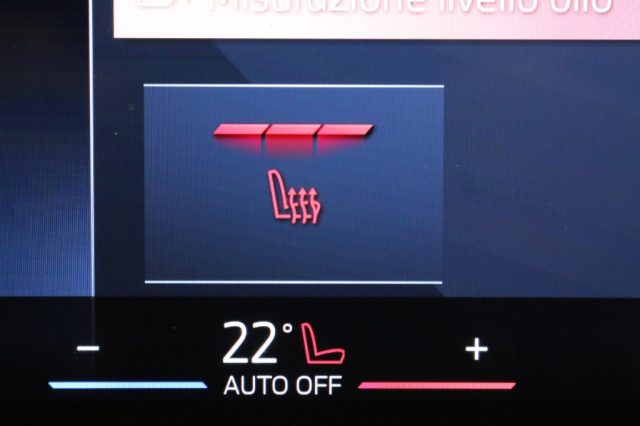 BMW X2 usata, con Servosterzo