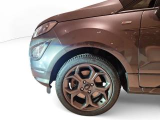 FORD EcoSport usata, con Cruise Control