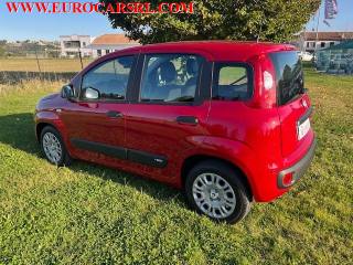 FIAT Panda usata, con Antifurto