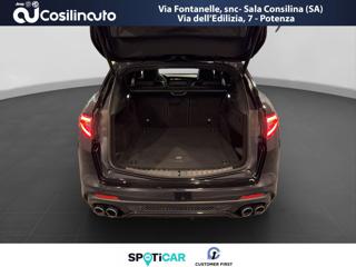 ALFA ROMEO Stelvio usata, con Interni in pelle
