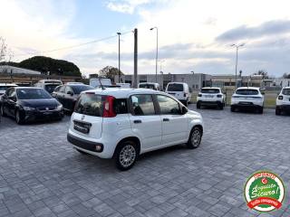 FIAT Panda usata, con Climatizzatore