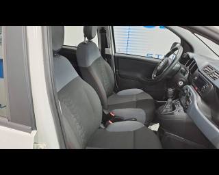 FIAT New Panda usata 16