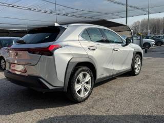 LEXUS UX 250h usata, con Autoradio