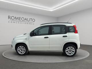 FIAT Panda usata 2