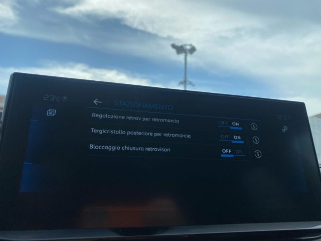 PEUGEOT 3008 usata, con Leve al volante