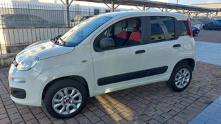 FIAT Panda usata, con Hill holder