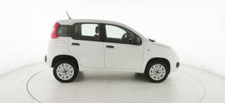 FIAT Panda usata, con Cronologia tagliandi