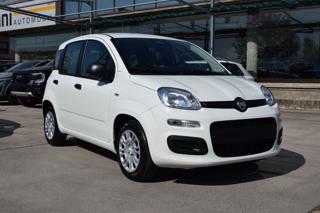FIAT Panda 1.0 Firefly Hybrid Icon S&S 65cv 5p *Ruotino*