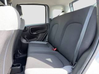 FIAT Panda usata 10