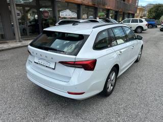 SKODA Octavia usata, con Alzacristalli elettrici