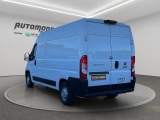 FIAT Ducato usata, con Servosterzo
