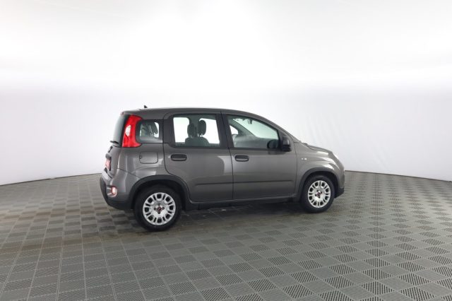 FIAT Panda usata 2