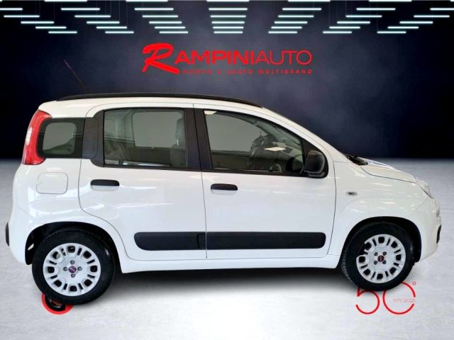 FIAT Panda usata 5