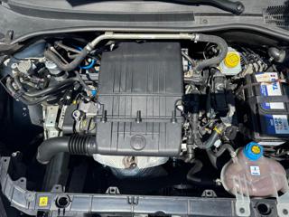 FIAT Punto usata 13