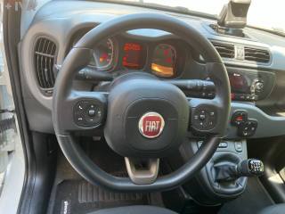 FIAT Panda usata 18