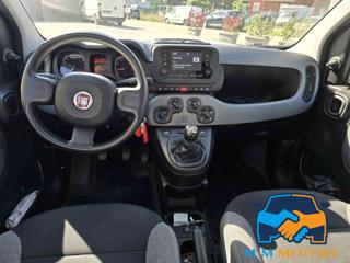 FIAT Panda usata, con Autoradio