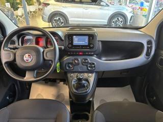 FIAT Panda usata, con Fendinebbia