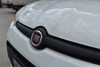 FIAT Panda usata, con Airbag testa