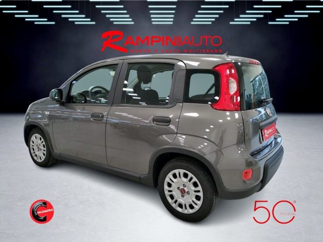 FIAT Panda usata 9