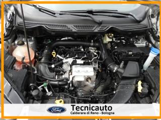 FORD EcoSport usata 28