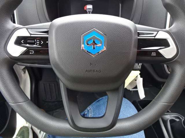 PIAGGIO Porter usata 13