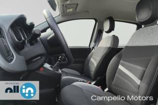 FIAT Panda usata 3