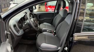 FIAT Panda usata, con Cronologia tagliandi