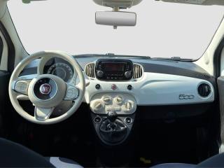 FIAT 500 usata 11