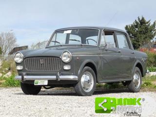 FIAT 1100 usata 2