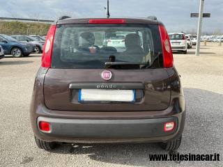 FIAT Panda usata 6