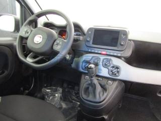 FIAT New Panda usata, con Autoradio