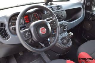 FIAT Panda usata, con Immobilizzatore elettronico
