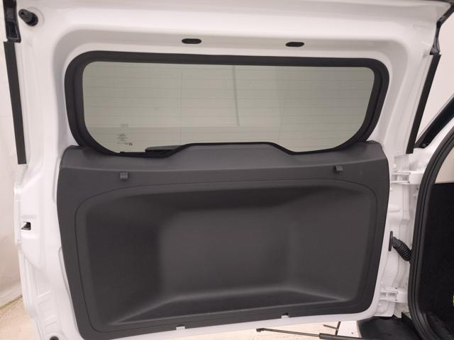 FORD EcoSport usata, con Bracciolo