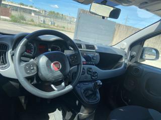 FIAT Panda usata, con Controllo trazione