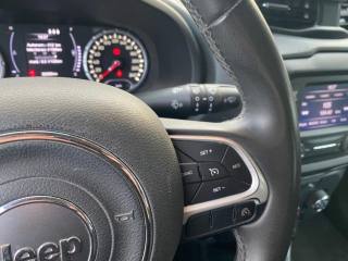 JEEP Renegade usata, con Cruise Control