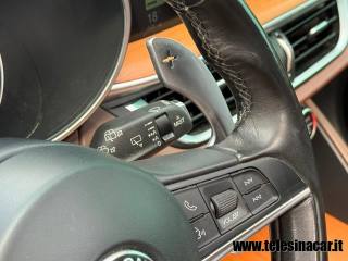 ALFA ROMEO Stelvio usata, con Bracciolo