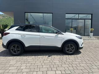 OPEL Grandland X usata, con Airbag laterali