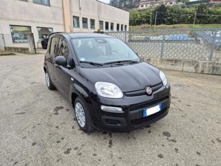 FIAT Panda usata, con Airbag Passeggero