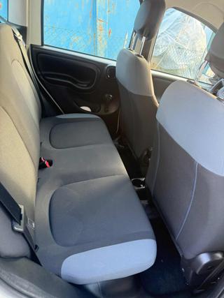 FIAT Panda usata 16