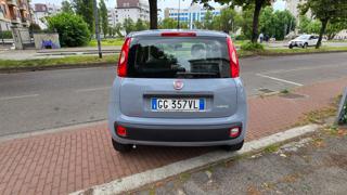 FIAT Panda usata, con Antifurto