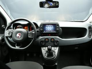 FIAT Panda Cross usata, con Fendinebbia