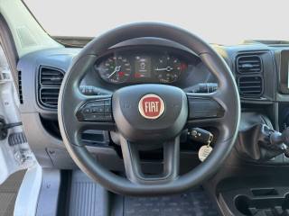 FIAT Ducato usata 9