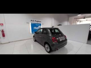 FIAT 500 usata 4