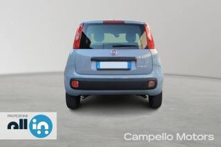 FIAT Panda usata 4
